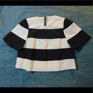 Striped Flared Crop Top